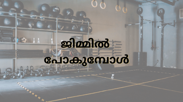 ജിമ്മിൽ പോകുന്നവരുടെ ഒരു പ്രധാന
പ്രശ്നം മസിൽ വലിപ്പം മാത്രമാണ് പലരും
ലക്ഷ്യം വക്കുന്നത് എന്നതാണ്.